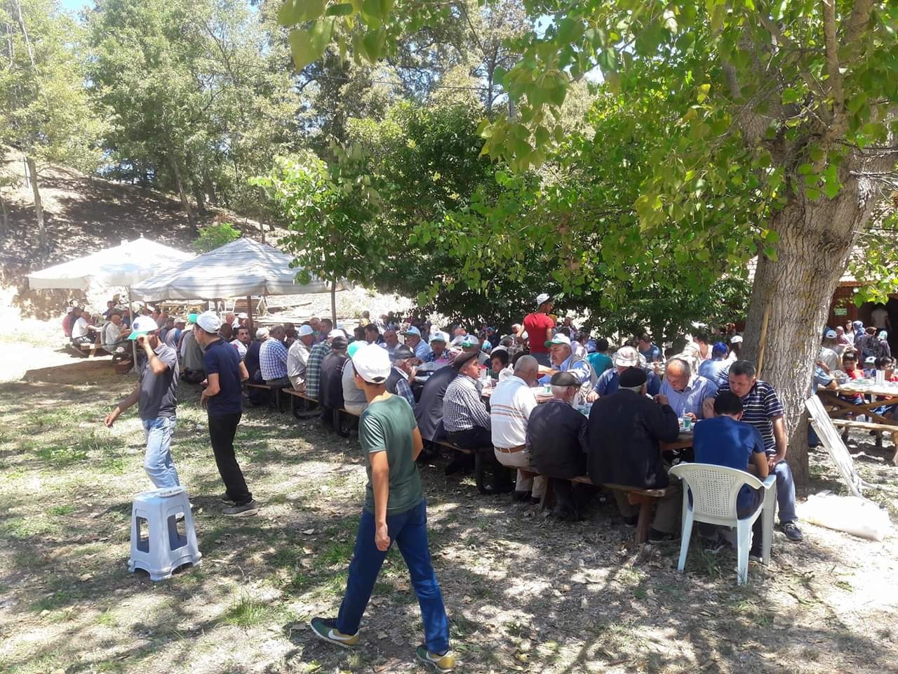 hayırdan
