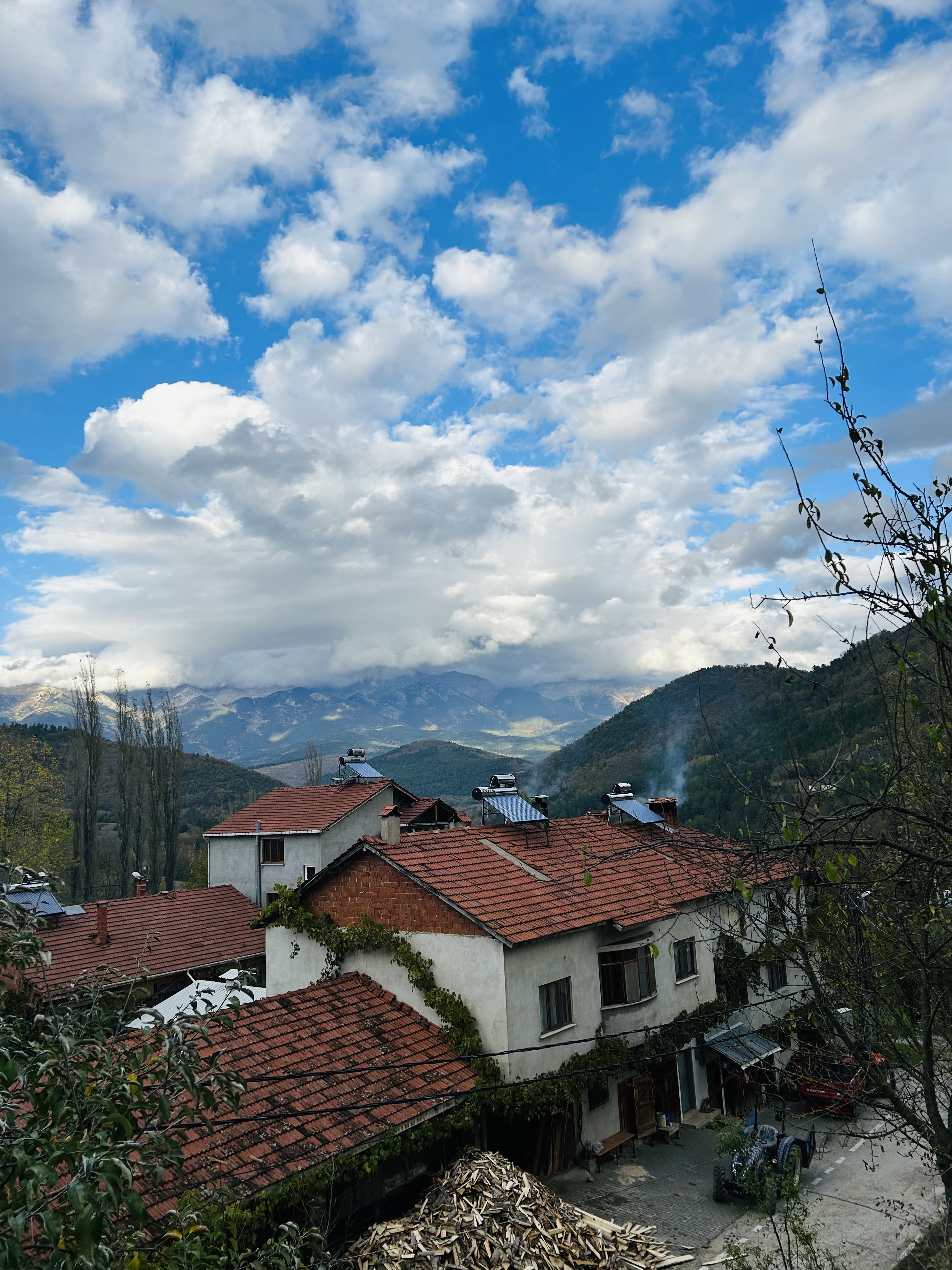 manzara